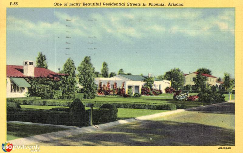 One of many beautiful Residential Street in Phoenix