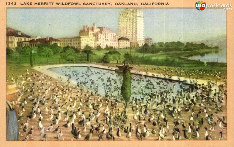 Lake Merritt Wildfowl Sanctuary