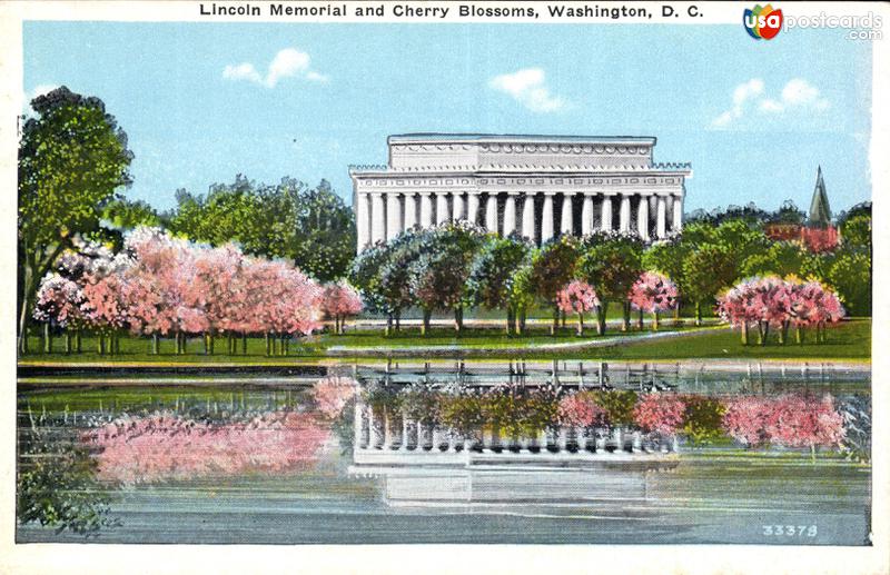 Lincoln Memorial and Cherry Blossoms