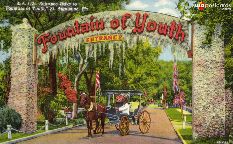 Entrance Drive to Fountain of Youth