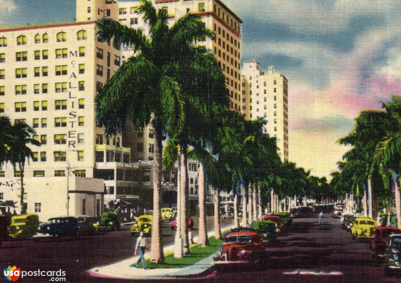 Vintage postcards of Miami