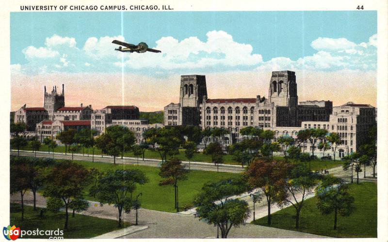 University of Chicago Campus