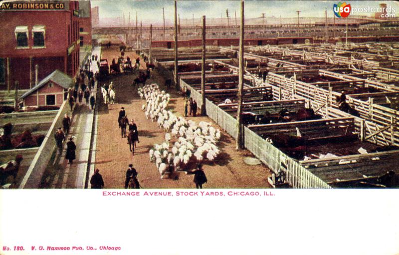 Exchange Avenue, Stock Yards