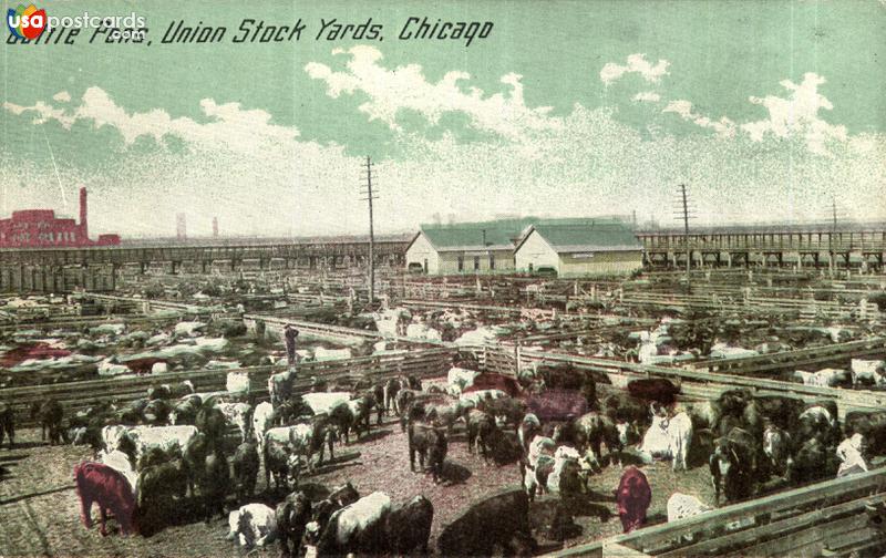 Cattle Pens, Union Stock Yards