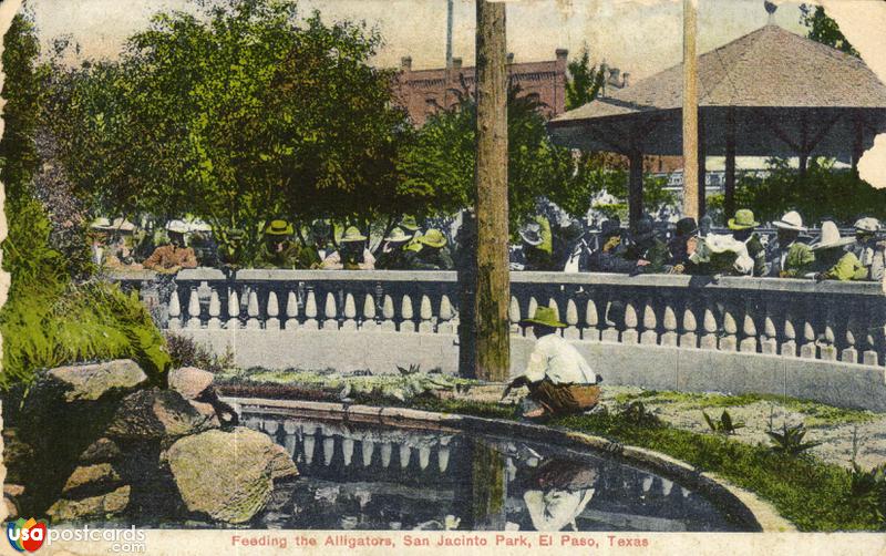 Feeding the Alligators, San Jacinto Park