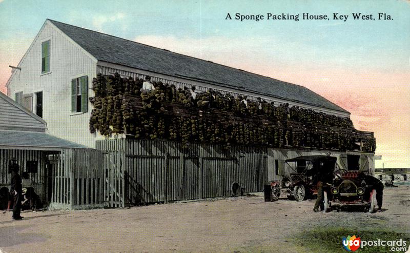 A sponge packing house