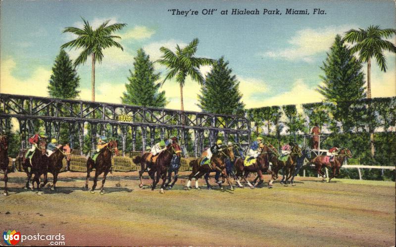 Horse race at Hialeah Park