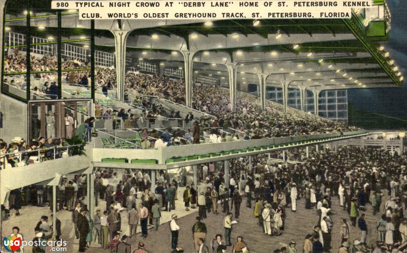 Crowd at Derby Lane, home of St. Petersburg Kennel Club, World´s oldest greyhound track