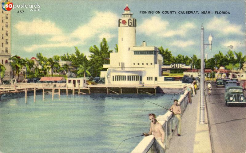 Fishing on County Causeway