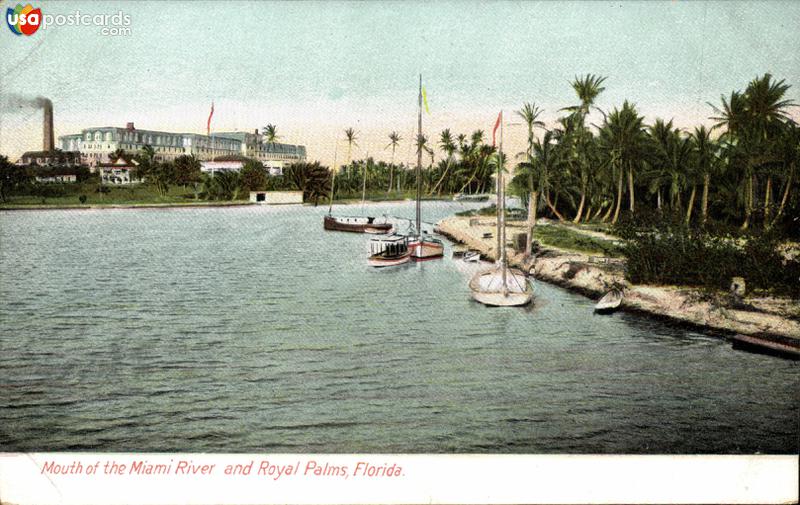 Mouth of the Miami River and Royal Palms