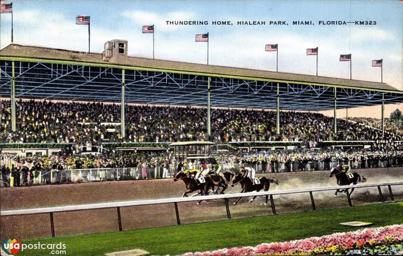 Thundering Home, Hialeah Park