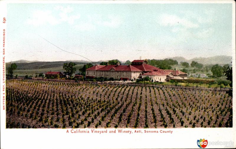 A California Vineyard and Winery