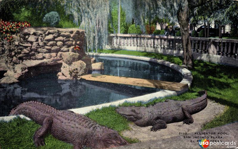 Alligator Pool, San Jacinto Plaza