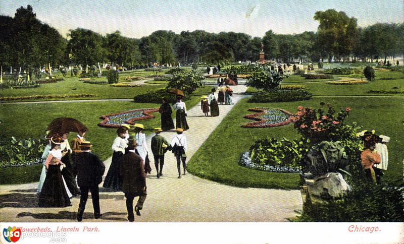 Flowerbeds, Lincoln Park