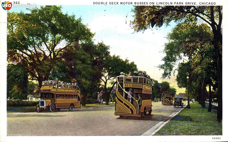 Double deck motor busses on Lincoln Park Drive