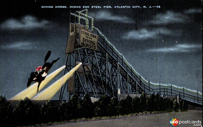 Pictures of Atlantic City, New Jersey, United States: Diving Horse, Ocean End Steel Pier