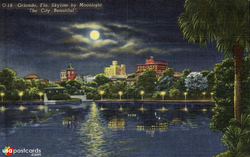 Pictures of Orlando, Florida: Skyline by Moonlight / The City Beautiful