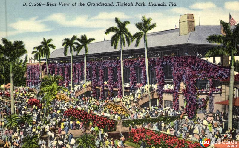 Pictures of Hialeah, Florida: Rear View of the Grandstand, Hialeah Park