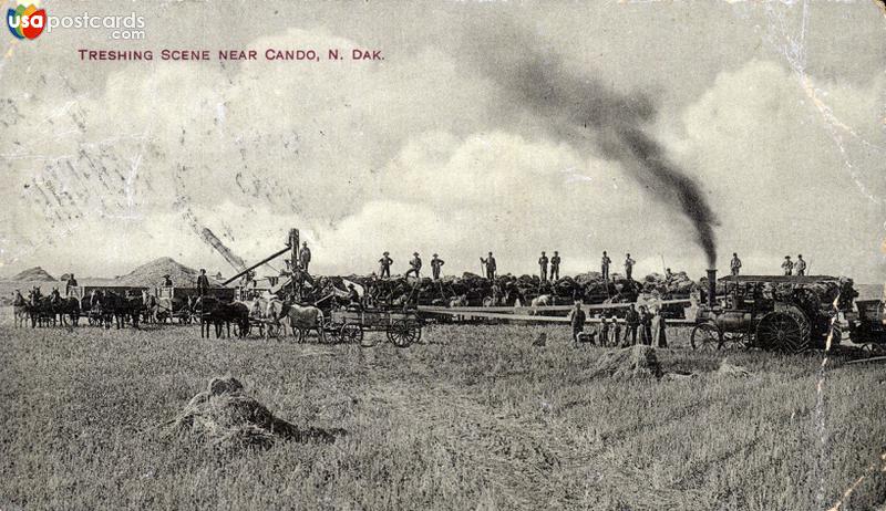 Pictures of Cando, North Dakota: Treshing Scene near Cando