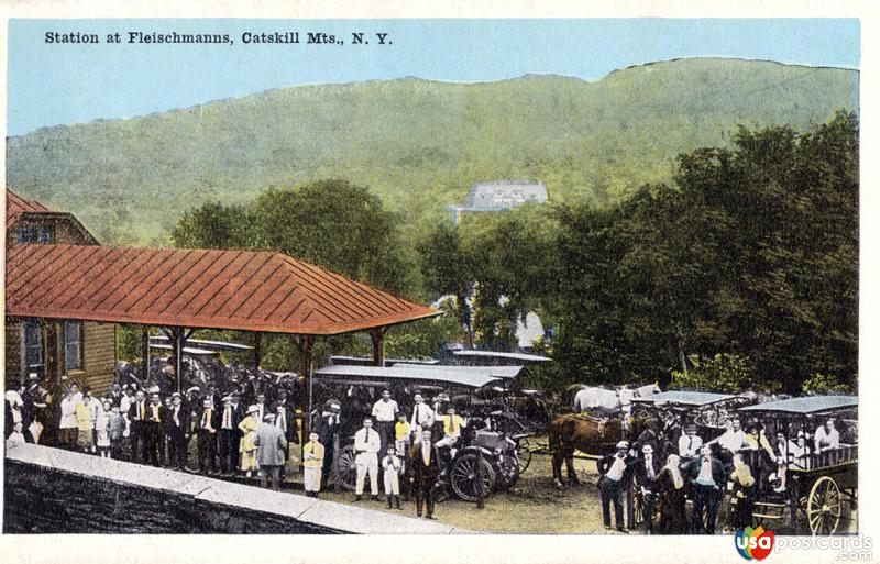 Pictures of Catskill Mountains, New York: Station at Fleischmanns