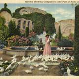 Garden showing Campanario and Part of Ruins of Stone Church