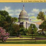 U. S. Capitol at Blossom Time