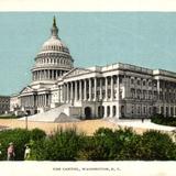 The Capitol