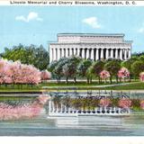 Lincoln Memorial and Cherry Blossoms