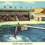 World´s largest Aquatheatre