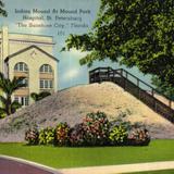 Indian Mound at Mound Park Hospital