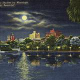 Skyline by Moonlight / The City Beautiful