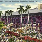 Rear View of the Grandstand, Hialeah Park