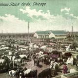 Cattle Pens, Union Stock Yards