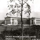 Chicago Museum of Natural History