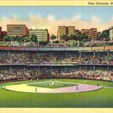 Polo Grounds