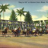 Horse race at Hialeah Park