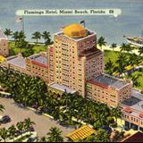 Flamingo Hotel