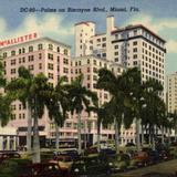 Palms on Biscayne Boulevard