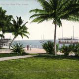 Biscayne Bay from Royal Palm grounds