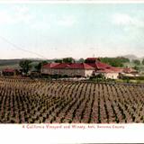 A California Vineyard and Winery