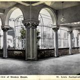 Interior of Monkey House, St. Louis Zoological Park