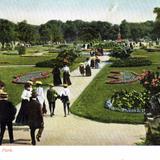 Flowerbeds, Lincoln Park