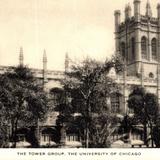 The Tower Group, University of Chicago